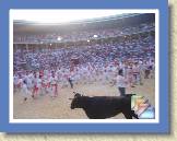 07July05 - Spain Bulls * (493 Slides)